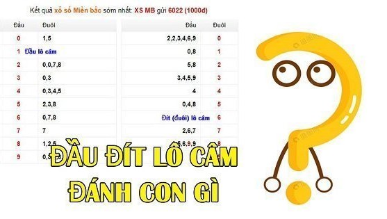 Đầu 0 câm hôm sau đánh con gì theo cảm tính